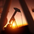 Naftos kaina pakilo į pusmečio aukštumas