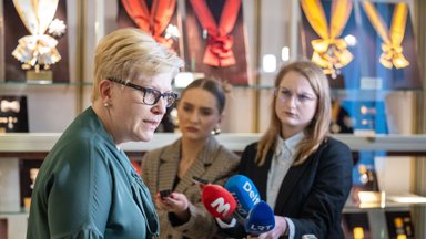 Литва выделяет 35 млн евро на инициативу по закупке боеприпасов для Украины