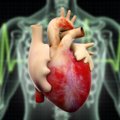Santariškėse atlikta 90-oji širdies persodinimo operacija