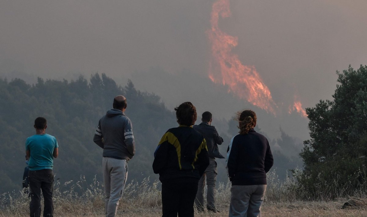 Graikijos ugniagesiai antrą dieną grumiasi su dideliu miškų gaisru