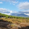 Korsika – rojus tarp jūros ir kalnų