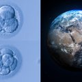 Gyvybė Žemėje – iš nežemiškos kilmės medžiagų: planetoje formavosi prebiotiniai tinklai