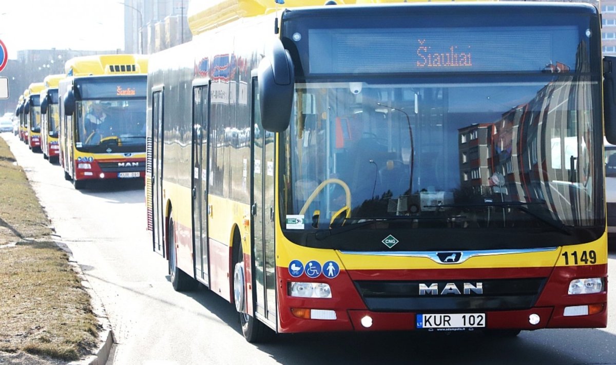 Nauji Šiaulių autobusai // Šiaulių m. sav. nuotr.