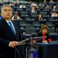 Lietuvos kandidatai į EP išdėstė, kaip kovotų su Europą skaldančiomis jėgomis
