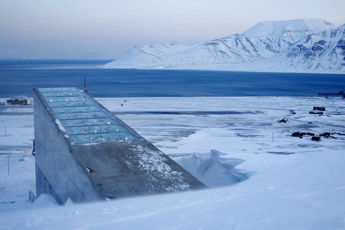 Nordpolen frøhvelv mottar rekordforsendelse: hva det betyr
