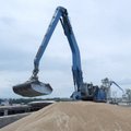 Užderėjus rekordiniam derliui, Rusija planuoja eksportuoti milijonus tonų grūdų