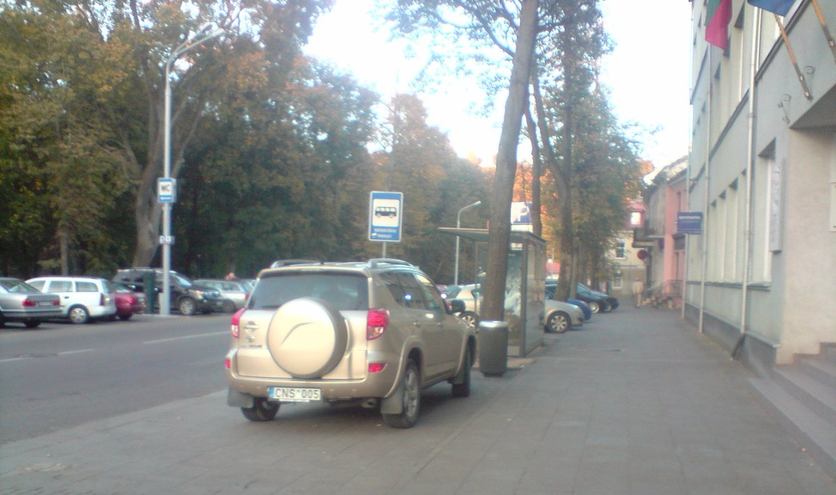Vilniuje, B.Radvilaitės g. 2011-10-02