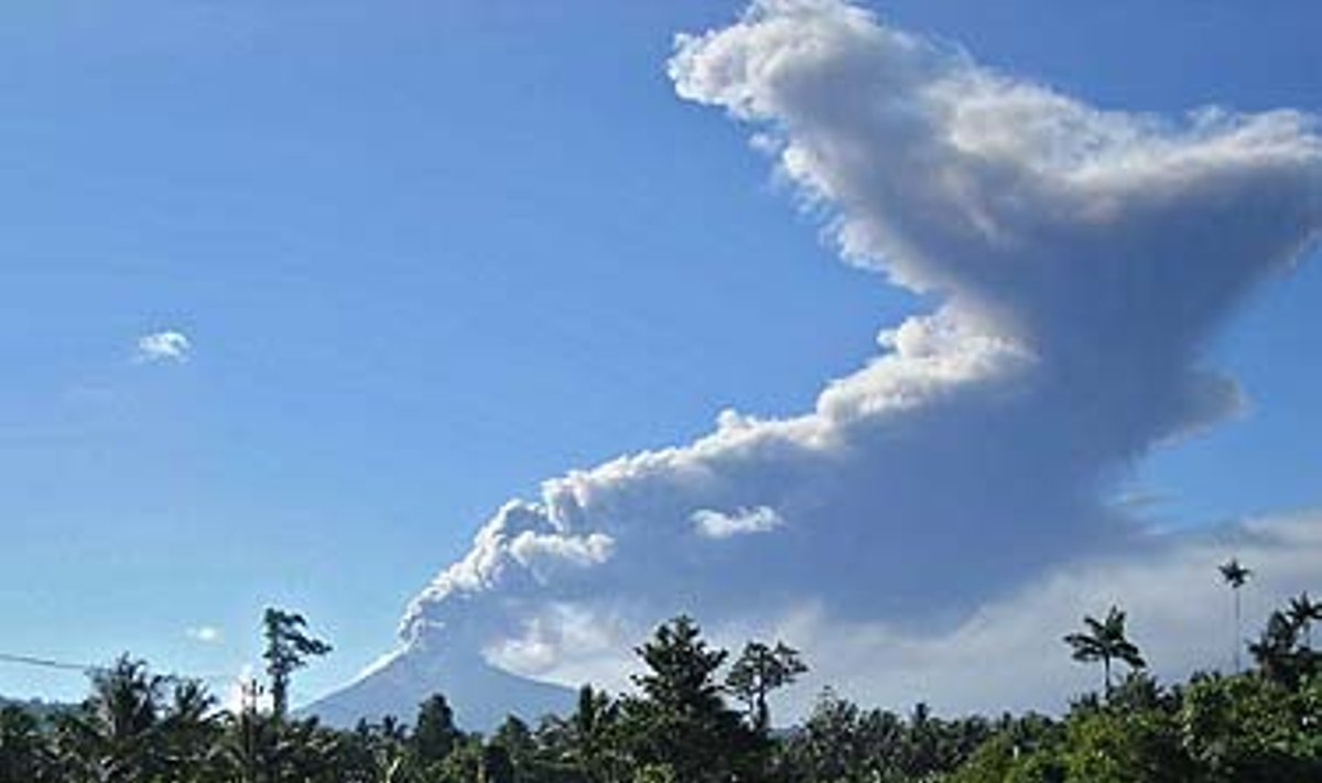 Indonezijoje atgijo ugnikalnis