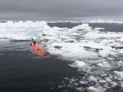 Tirpstantys ledynai Antarktidoje