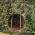 Neįprasta skylė Estijos miške tapo pasauline sensacija: kaip manote, kas tai?