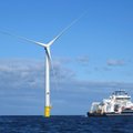 Energetikos viceministrė apie jūrines vėjo jėgaines: apie projekto atidėjimą kol kas svarstoma nėra