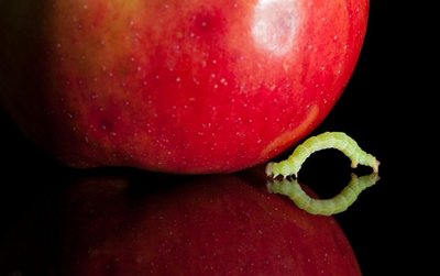 Kirmėlaitė vaisiuje ar daržovėje - natūralumo požymis?