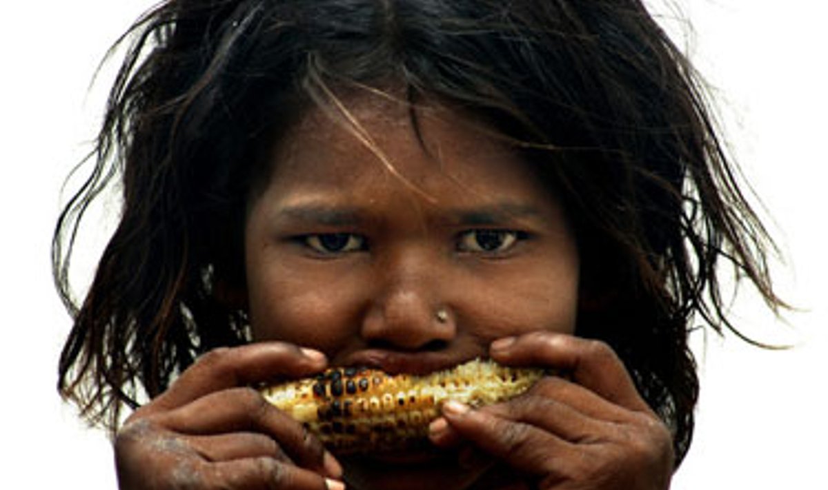 Mergaitė graužia kukurūzų burbuolę