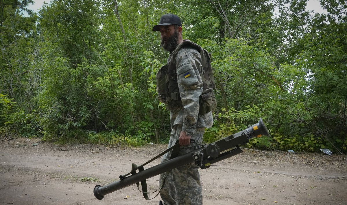 Ukrainos karys Donecko srityje su Stinger
