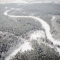 Miškininkai pagaliau sužinos, kokios valdos jiems priklauso