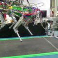 Sukurtas vienarankis robotas HyQ šalina kliūtis iš kelio