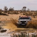 Lietuviškas Dakaro klasikinių automobilių ekipažas demonstruoja ryžtą: priartėjo prie TOP10
