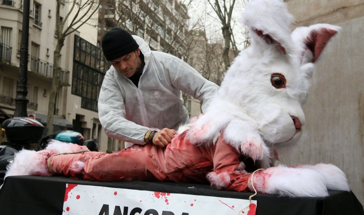 Gyvūnų teisių aktyvistų protestas Paryžiuje