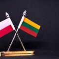 МИД: была осуществлена информационная атака в отношении Литвы и Польши