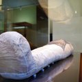 Ar galėjo pirmoji Lietuvos egiptologė suklastoti Kauno mumijos istoriją?