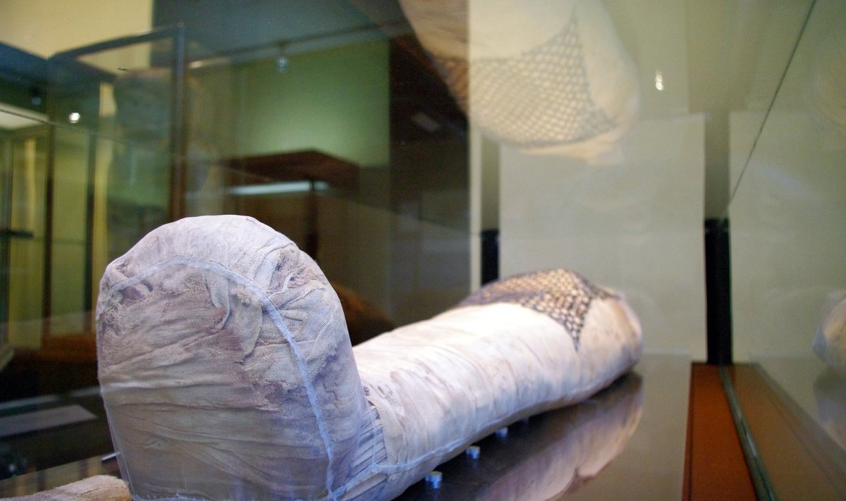 Kaune saugoma Egipto mumija