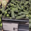 Pirkėjus nustebino pirmųjų lietuviškų agurkų kaina: augintojai tikina, kad ji turėtų būti dar didesnė