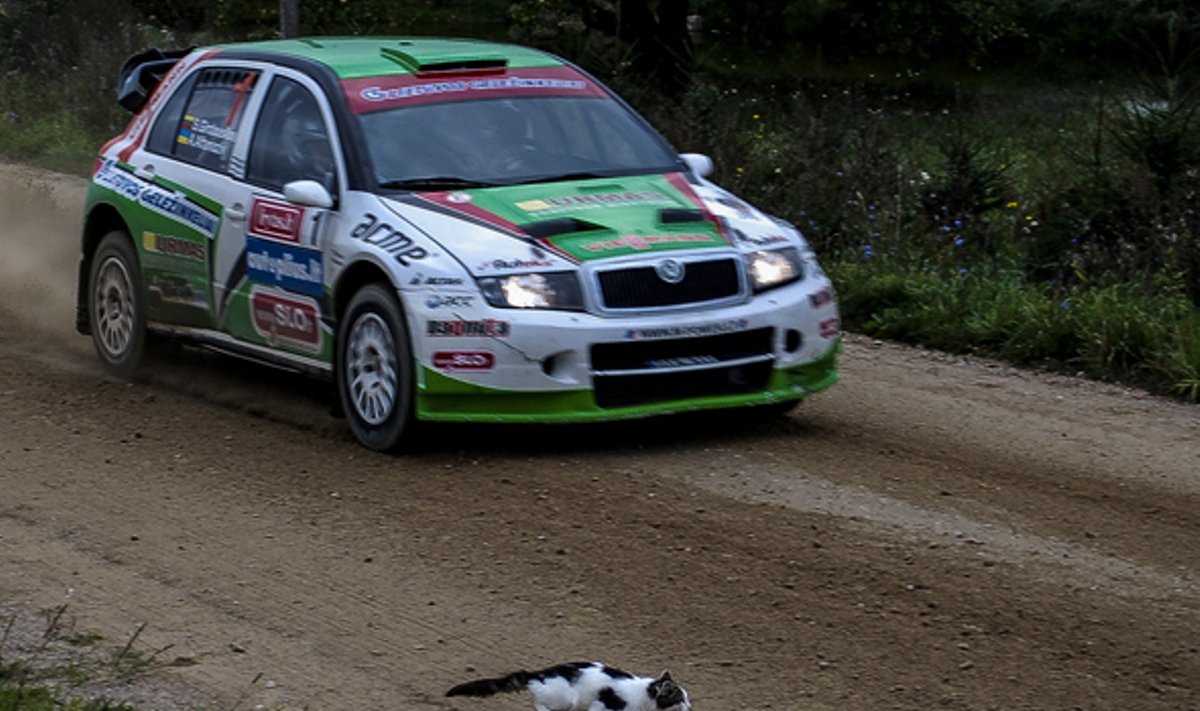 Lietuvos ralio sezoną vainikuos „Rally Classic“ Druskininkuose