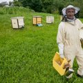 Bites laikantis kriminalistas: nežinodami galite nusipirkti net antibiotikais užkrėsto medaus