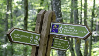 Miškų urėdijai už biologinės įvairovės puoselėjimą Vidzgirio miške suteiktas ekosisteminių paslaugų sertifikatas