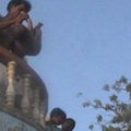 Indijoje linkint vaikams stiprybės jie mėtomi nuo šventyklos stogo