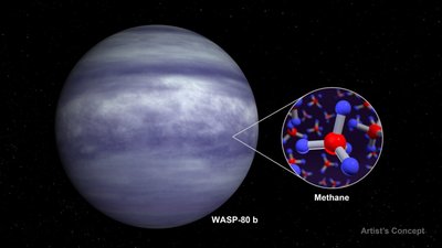 WASP-80b yra ranzituojanti maždaug pusės Jupiterio masės planeta. NASA iliustr.