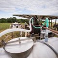 Per metus natūralaus pieno supirkimo kaina padidėjo 1,5 proc.