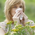 Imunoterapija teikia vilčių sergantiems alergija