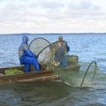 Drausmins žvejus verslininkus