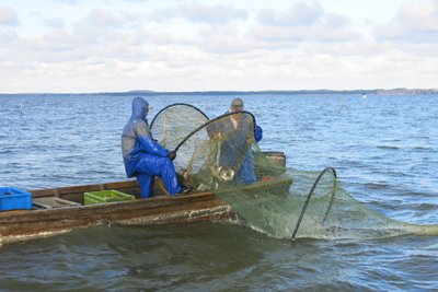 Žvejai verslininkai