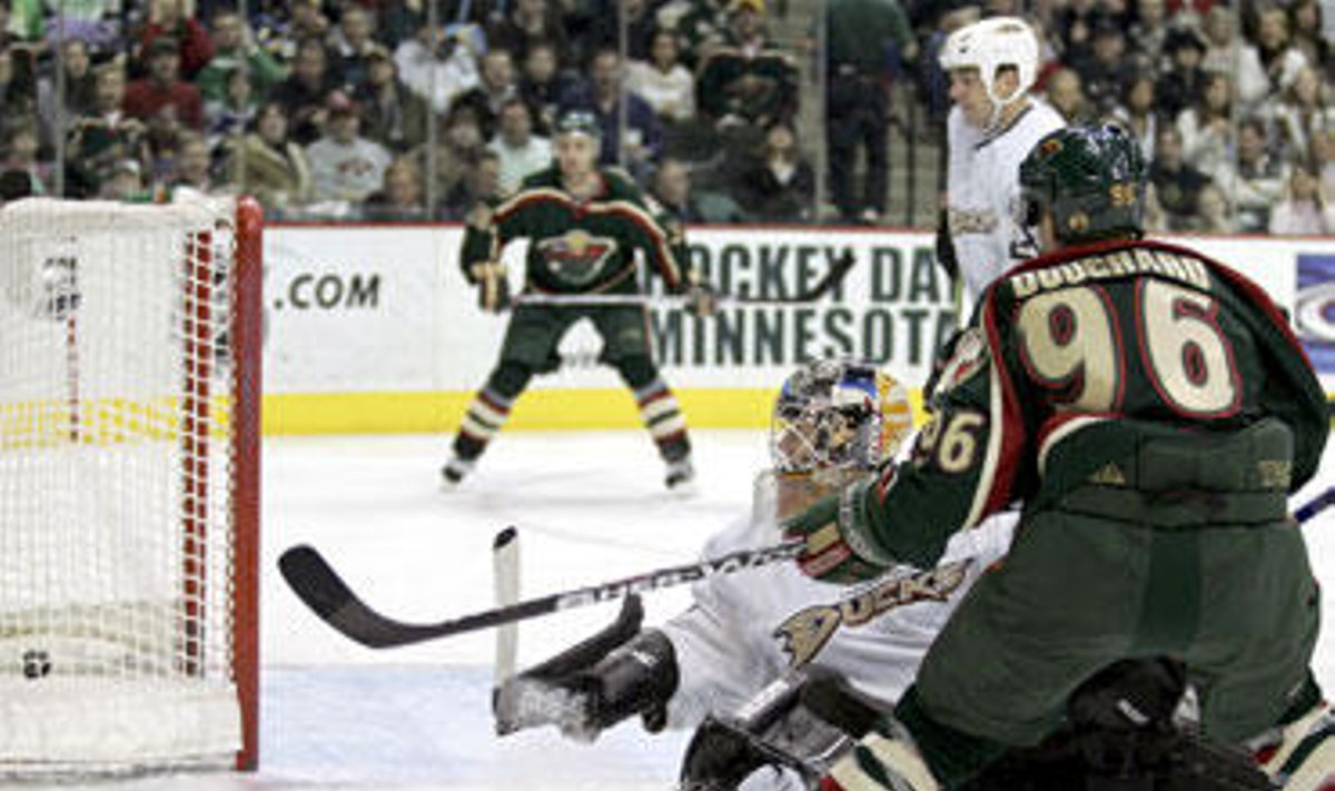 Minesotos "Wild" įvartis į 'Mighty Ducks" vartus per NHL čempionato rungtynes, gruodžio 31, 2006.