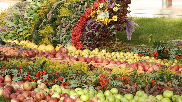 Molėtų rudens gėrybių mugėje – pilni karučiai