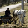 Bedarbiai atskleidė, kas jiems trukdo laisvai užsidirbti