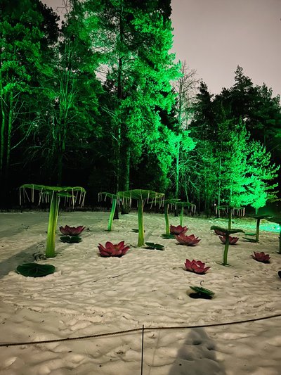 Šviesų parkas Vilniuje „Džiunglių knyga” 