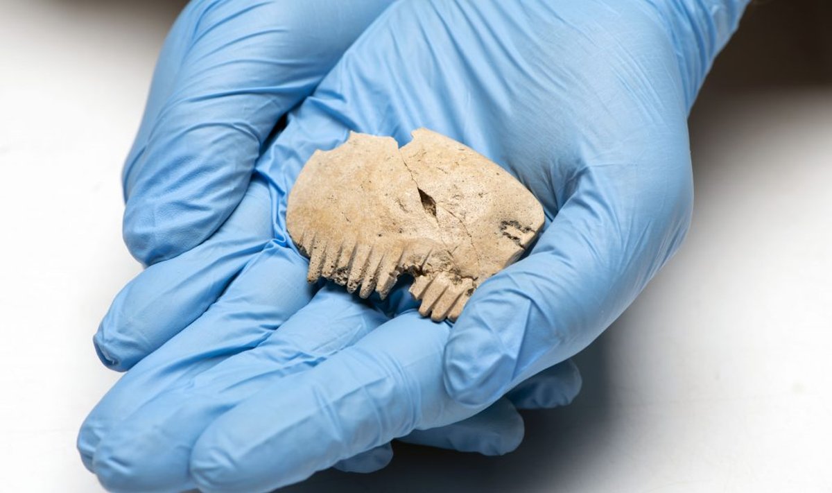 Anglijoje aptiktos iš žmogaus kaukolės kaulo pagamintos šukos. MOLA nuotr.