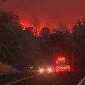 Karščio alinamoje Kalifornijoje siautėja miškų gaisrai