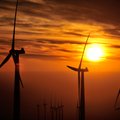 Vėjas elektros energija galėtų aprūpinti visą pasaulį
