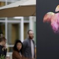 Kylant nerimui dėl „Apple“ ir pasaulio prekybos, Volstrito akcijos patraukė žemyn