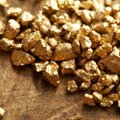 Aukso kainų kritimui galo nematyti