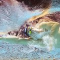 Pasaulio plaukimo čempionate į pusfinalį patekęs Rapšys: viskas pagal planą