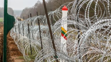 Fifteen irregular migrants tried to cross from Belarus to Lithuania on Wednesday