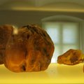 Lithuania to explore its amber deposits