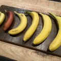 Paragavo bananų iš skirtingų prekybos centrų ir išrinko skaniausius