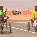 Karačio festivalyje vyksta tradicinės asilų kinkinių lenktynės