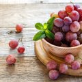 Paprasti ir efektyvūs būdai, kaip išsaugoti vynuogių derlių